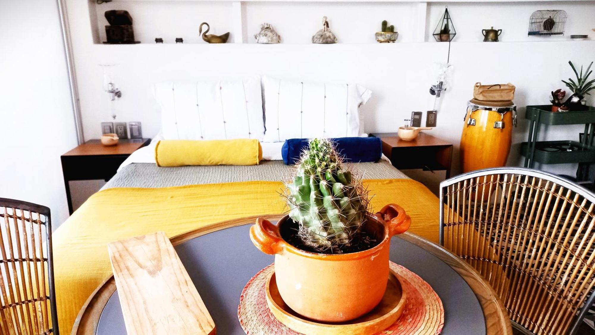 Loft Remedios - Penthouse Cdmx - Areas Comunes Compartidas Mexico by Eksteriør bilde